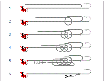 monturi crap - nod-centauri.gif